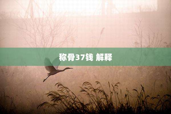 称骨37钱 解释