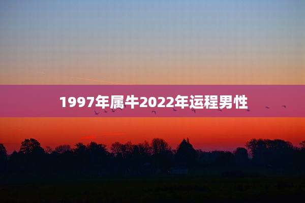 1997年属牛2022年运程男性