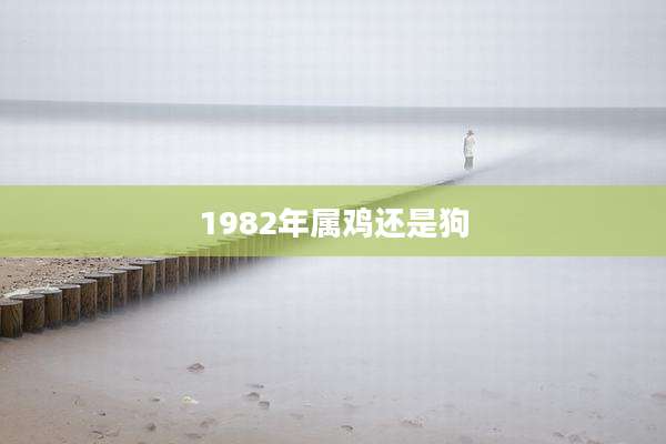 1982年属鸡还是狗