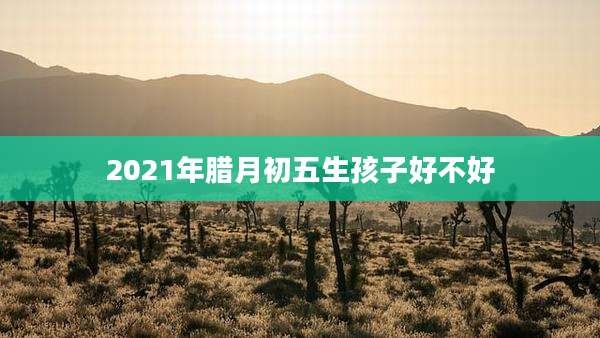 2021年腊月初五生孩子好不好