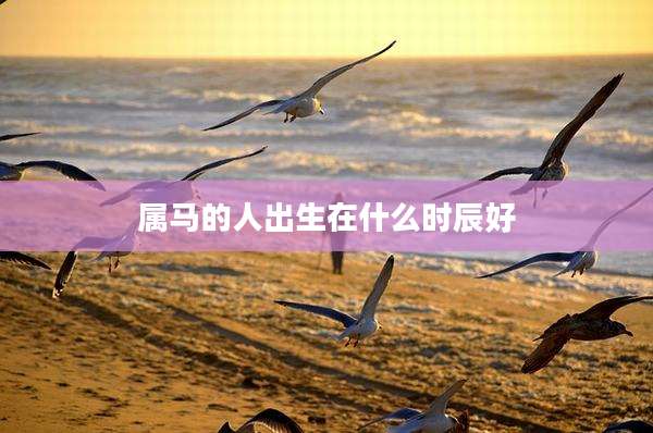 属马的人出生在什么时辰好