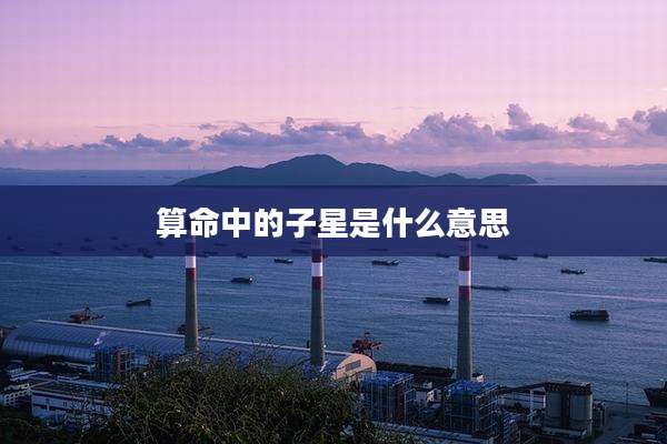 算命中的子星是什么意思