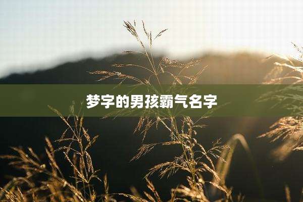 梦字的男孩霸气名字