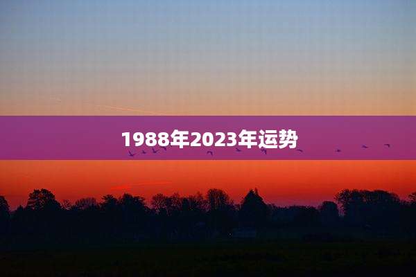 1988年2023年运势