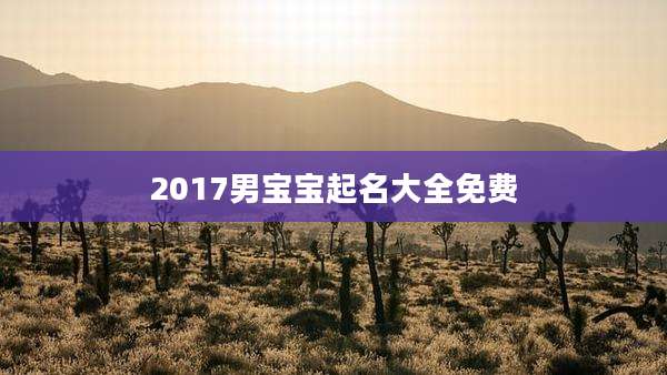 2017男宝宝起名大全免费