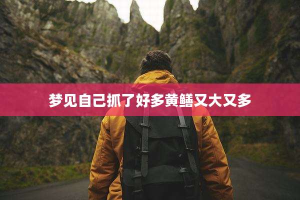 梦见自己抓了好多黄鳝又大又多