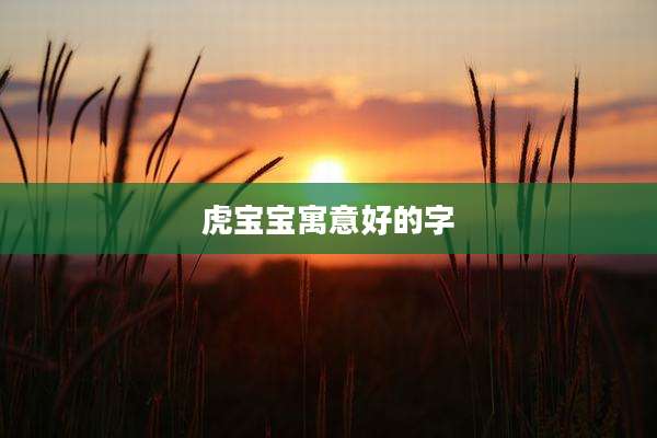 虎宝宝寓意好的字