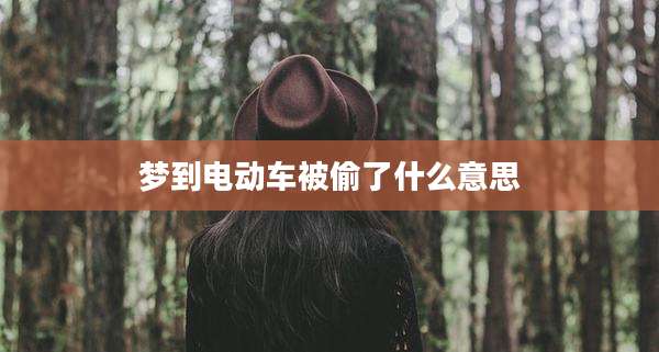 梦到电动车被偷了什么意思