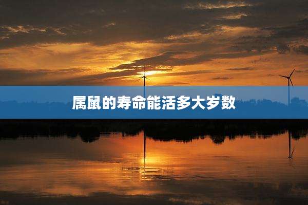 属鼠的寿命能活多大岁数