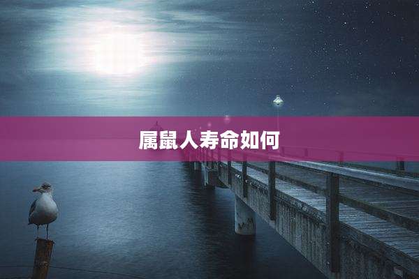 属鼠人寿命如何