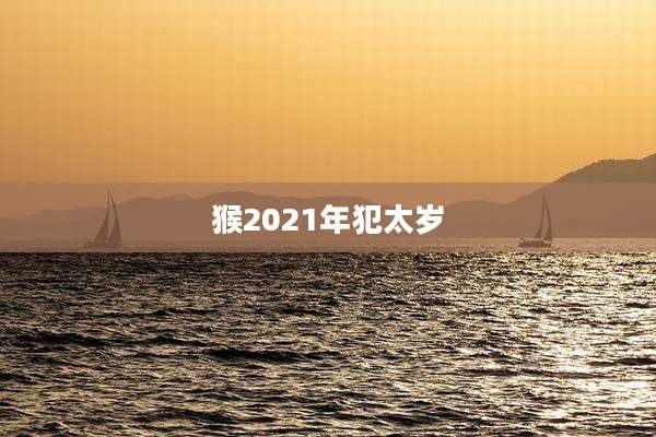 猴2021年犯太岁