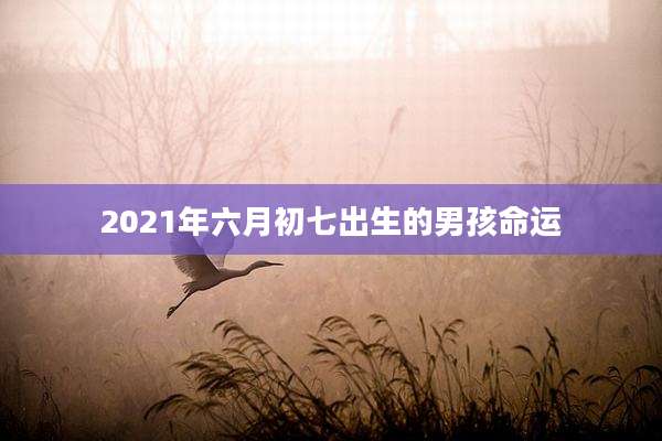 2021年六月初七出生的男孩命运