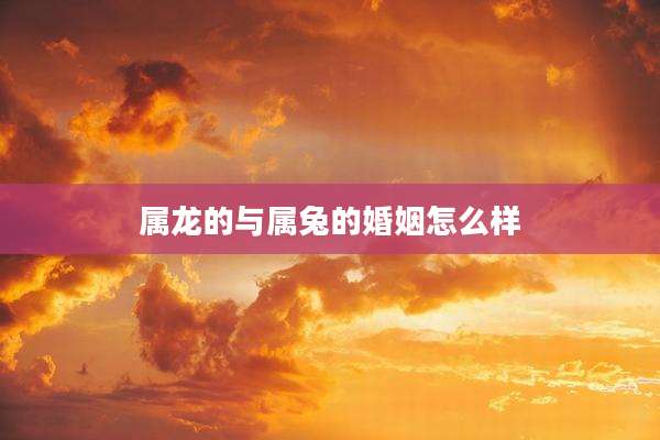 属龙的与属兔的婚姻怎么样