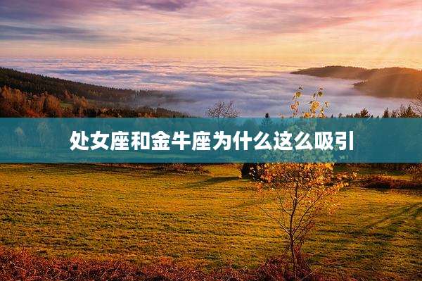 处女座和金牛座为什么这么吸引