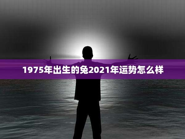 1975年出生的兔2021年运势怎么样