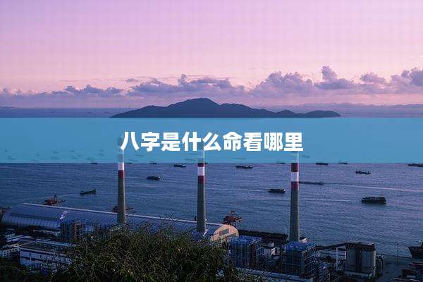 八字是什么命看哪里