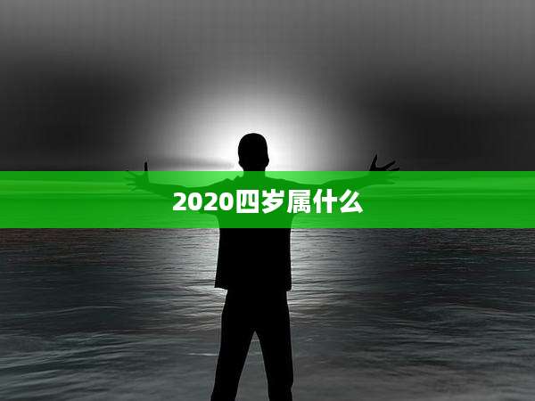 2020四岁属什么
