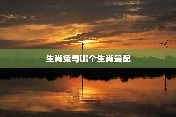 生肖兔与哪个生肖最配