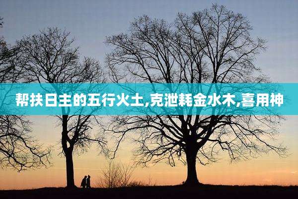 帮扶日主的五行火土,克泄耗金水木,喜用神