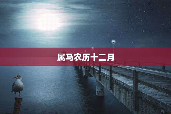 属马农历十二月