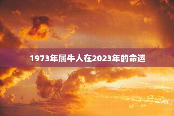 1973年属牛人在2023年的命运