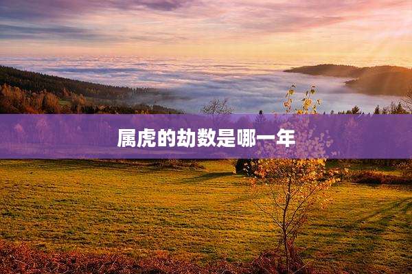 属虎的劫数是哪一年
