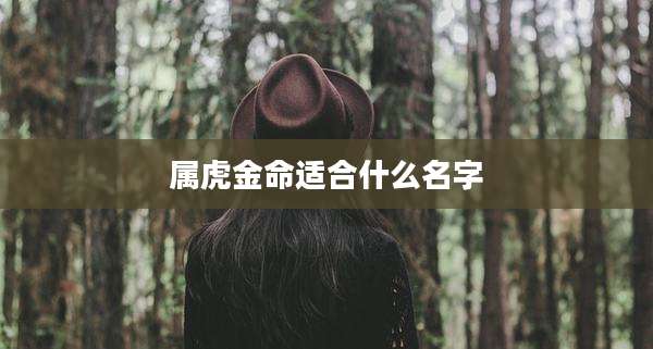 属虎金命适合什么名字