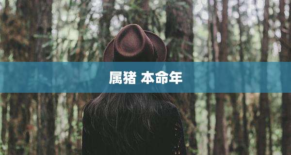 属猪 本命年