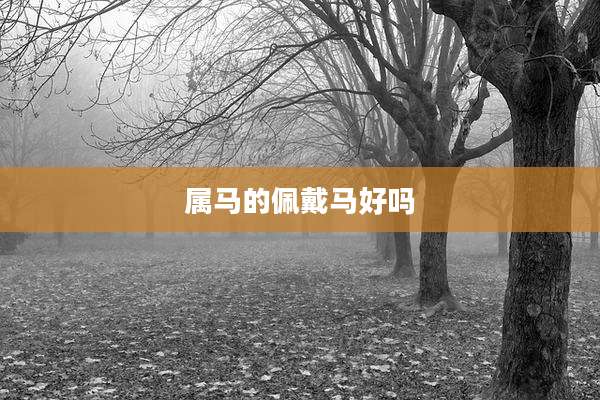 属马的佩戴马好吗