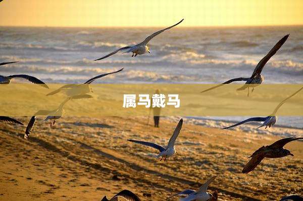 属马戴马