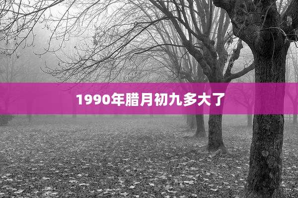 1990年腊月初九多大了