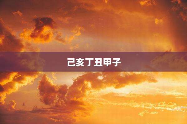己亥丁丑甲子