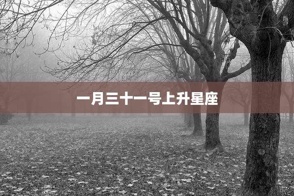 一月三十一号上升星座