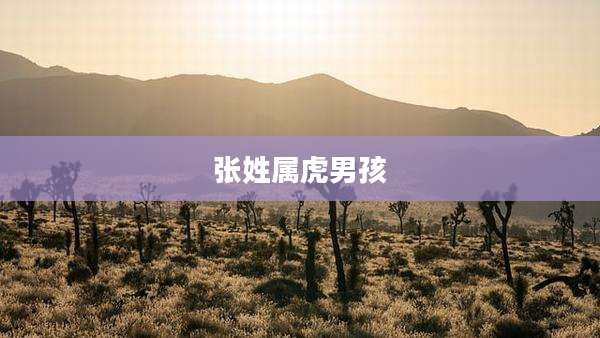 张姓属虎男孩