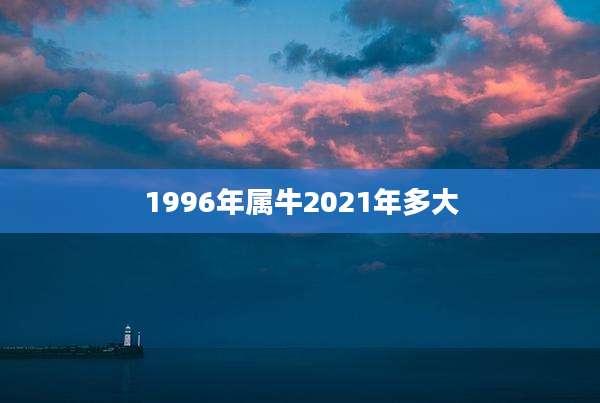 1996年属牛2021年多大