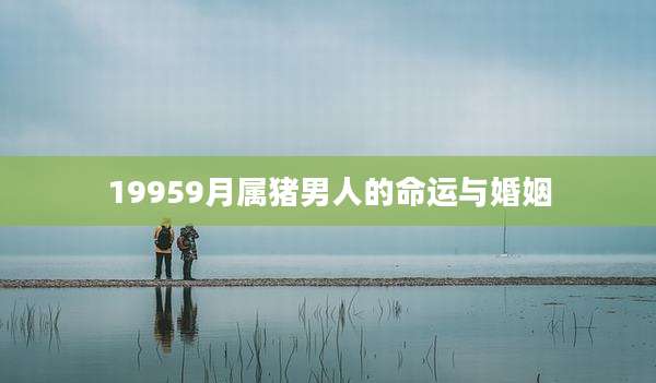 19959月属猪男人的命运与婚姻