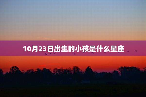 10月23日出生的小孩是什么星座