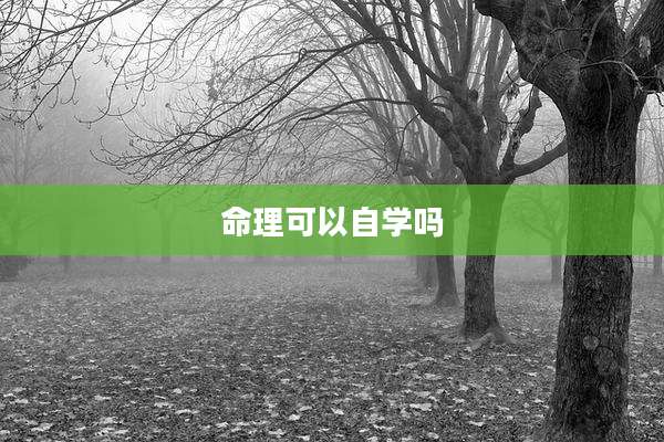 命理可以自学吗