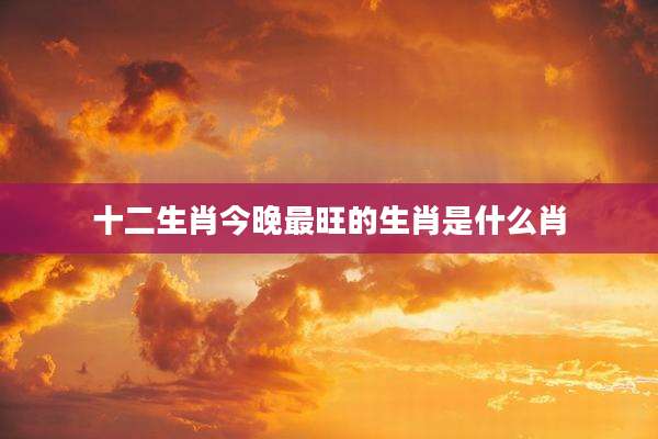 十二生肖今晚最旺的生肖是什么肖