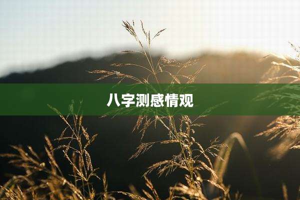 八字测感情观