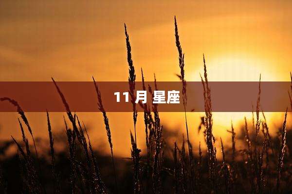 11 月 星座