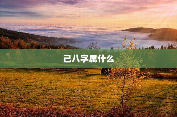 己八字属什么