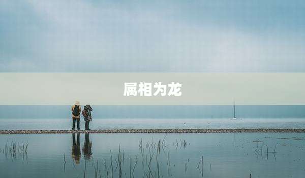 属相为龙
