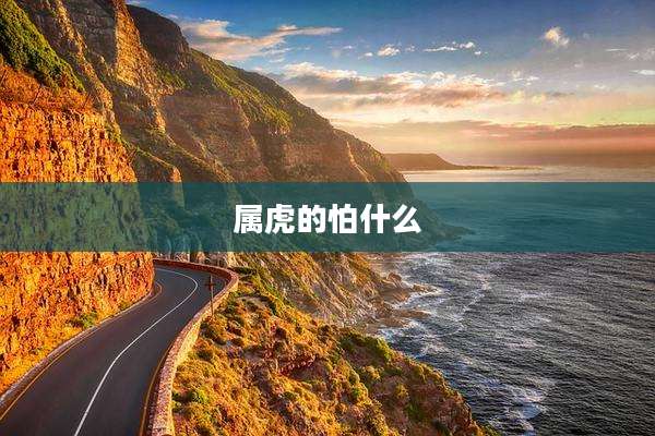 属虎的怕什么