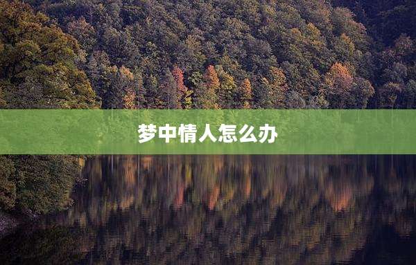梦中情人怎么办