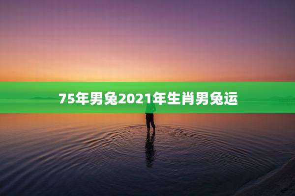 75年男兔2021年生肖男兔运