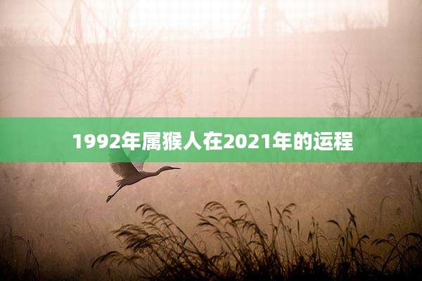 1992年属猴人在2021年的运程