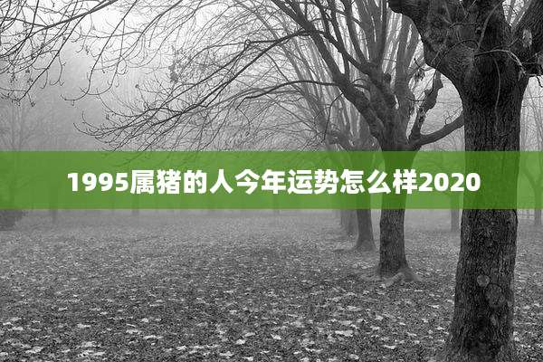 1995属猪的人今年运势怎么样2020