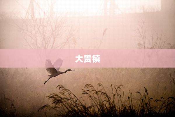 大贵镇