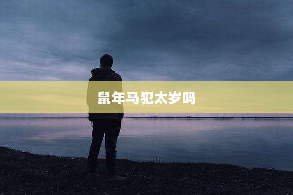 鼠年马犯太岁吗